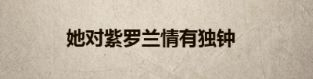 诸神皇冠百年骑士团