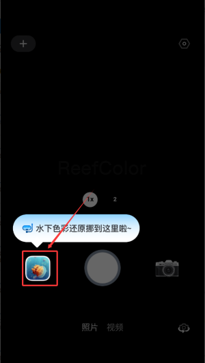 彩焦相机app