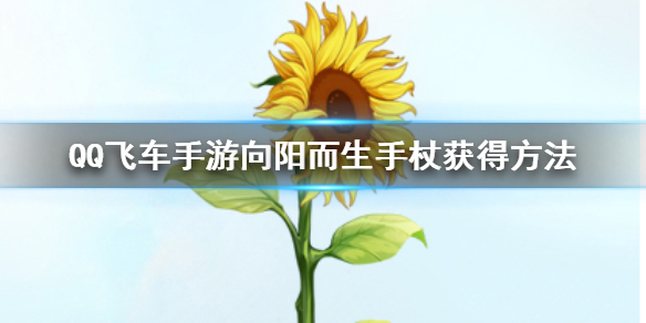QQ飞车手游