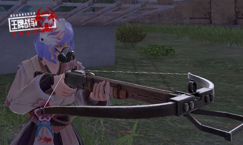 王牌战争新武器登场！有的杀人无形，有的自带“老阴B”属性