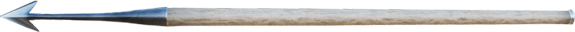 骑马与砍杀2