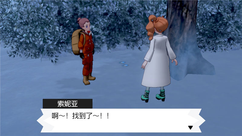 精灵宝可梦剑盾