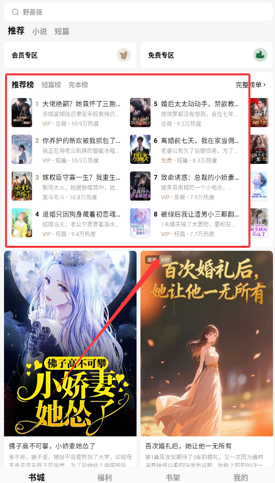 红烛小说软件