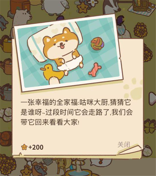 动物餐厅