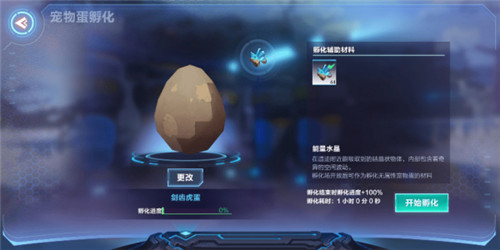 我的起源
