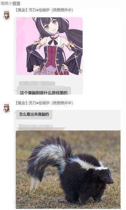 公主连结臭鼬