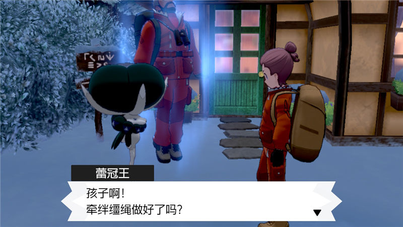 精灵宝可梦剑盾