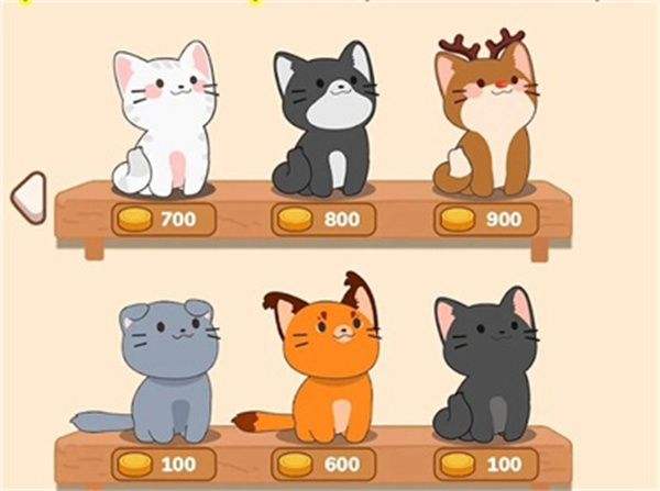 猫咪二重奏