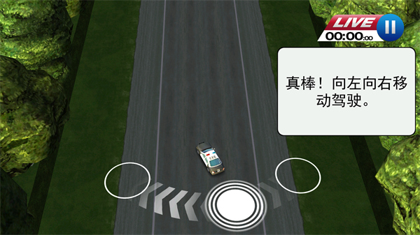 亡命威龙