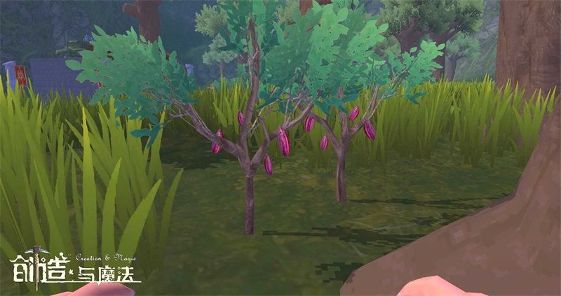 创造与魔法