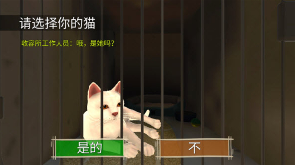 顽皮猫生活模拟
