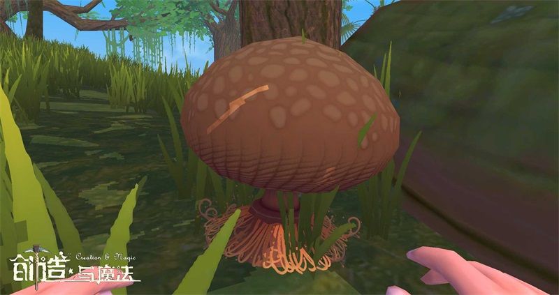 创造与魔法