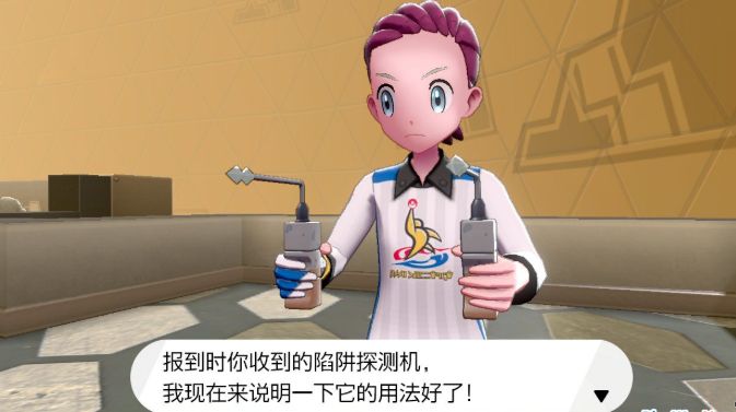 精灵宝可梦剑盾
