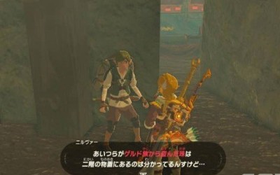 塞尔达传说荒野之息