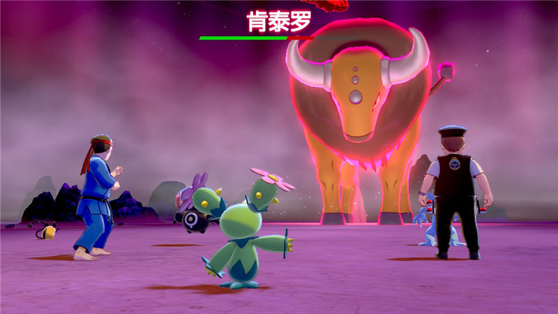 精灵宝可梦剑盾