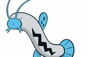 精灵宝可梦剑盾