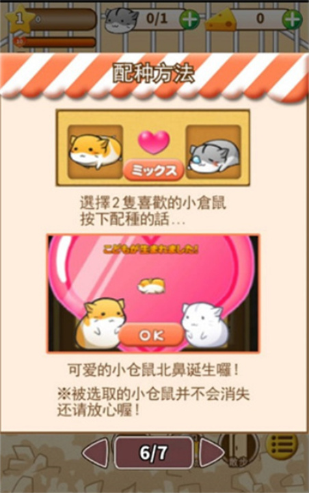 仓鼠的日常生活
