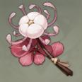 原神霓裳花在哪里