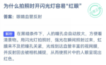 蚂蚁庄园10月19日答案最新2022 拍照时开闪光灯