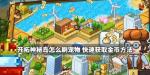 开拓神秘岛怎么刷宠物刷金币