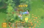 海岛纪元PVP新手技巧