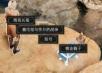 博德之门3枭熊洞穴镀金箱子怎么开
