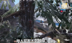 和平精英城堡上树阴人技巧