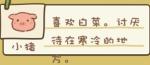 动物安排员第一关三星过关方法