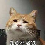 最美春分时《姬魔恋战纪》竟是脱单神器！