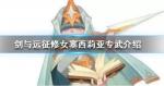 剑与远征修女专属武器怎么样