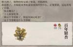江南百景图百年银杏属性怎么样 百年银杏加多少繁荣