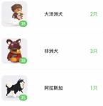 旅行世界情侣犬概率是多少