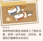 动物餐厅手账的最后一页怎么获得