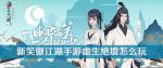 新笑傲江湖手游虚声绝境副本怎么打