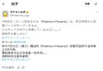 宝可梦直面会官宣！下周二晚上九点直播