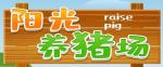 阳光养猪场分红猪是什么