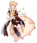云梦四时歌新符灵生肖猪怎么样