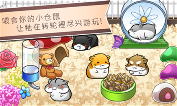 仓鼠的日常生活截图