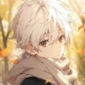 口袋妖怪