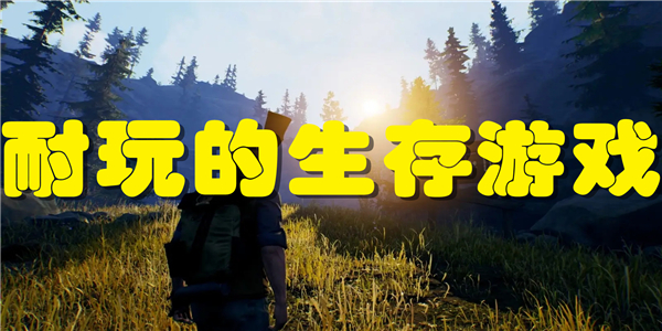 耐玩的生存游戏