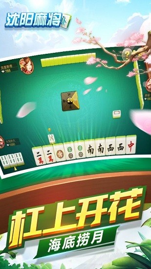 老友沈阳麻将截图